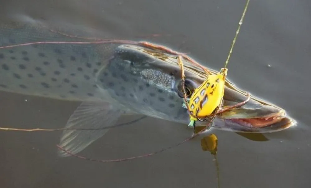 Воблер Лягушка Незацепляйка номер 2. Київ - фото 2