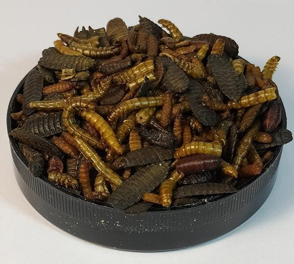 Натуральний Корм для декоративних їжаків Hedgie Mix#1 тм Буся пакет 25г Зміїв - фото 3