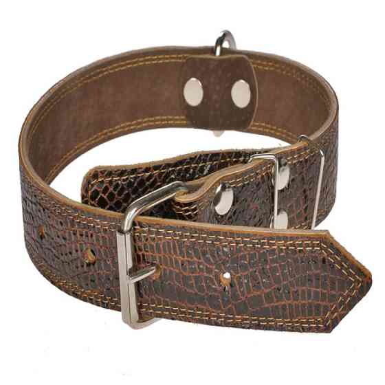 Нашийник 425 30мм "Рептилія" шкіряний подвійний Вінниця