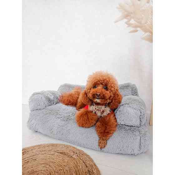 Хутряний диван лежак для собак і кішок спальне місце для тварин знімни Incor сірий 10079 M (66х37х33) Київ