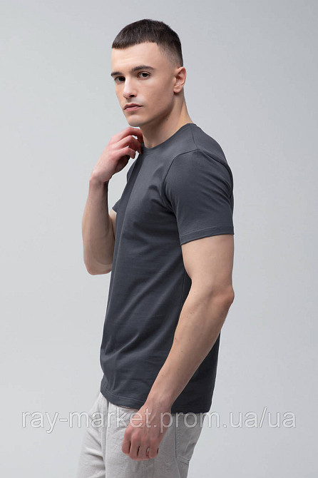 Футболка базова Ray Premium Fit чоловіча темно-сіра (U0102-Dark Grey) XL Київ - фото 10