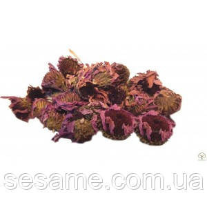 Эхинацея пурпурная цветки (пак/50грамм) Харьков - изображение 1