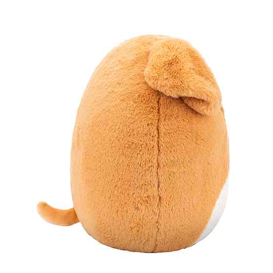 М'яка іграшка Squishmallows – Лабрадор Стеван (30 cm) Дніпро