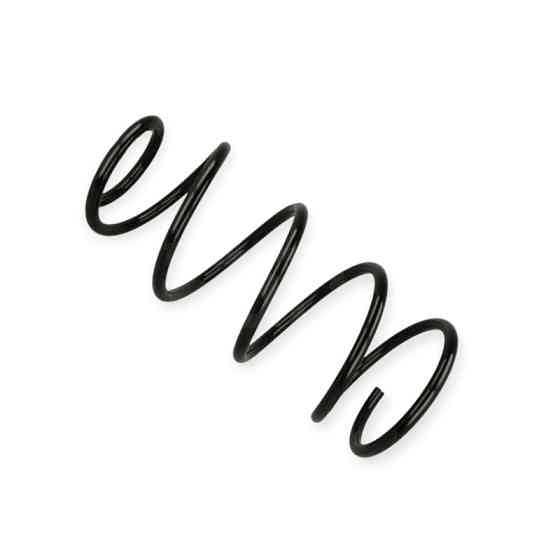 Пружина Ford Focus II 1.4-1.6i (04-12) Мукачево