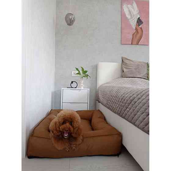 Водонепроникний лежак лежанка спальне місце для тварин зі знімним чохлом коричневий 10074 M (75см) Київ