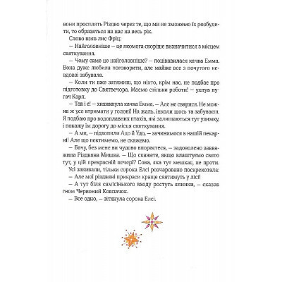 Книга Різдвяна Мишка в зимовій країні чудес. Адвент-календар - Фрідерун Райхенштеттер, Аліса Келін Vivat (9789669829351) Винница - изображение 2