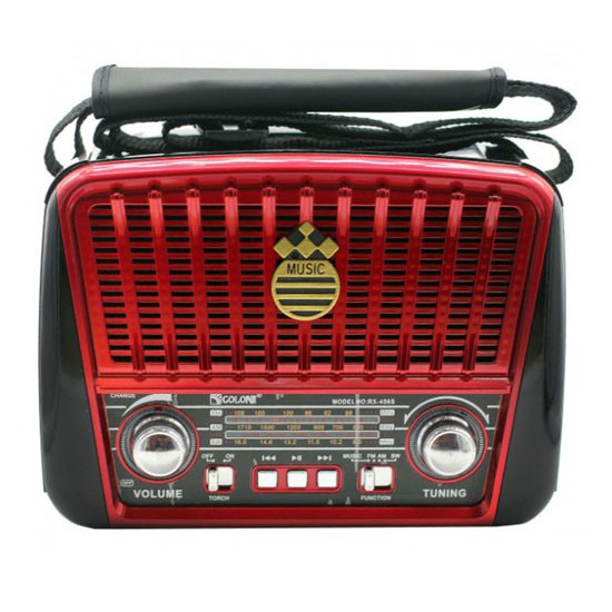 Портативное ФМ радио с флеш-накопителем Golon, Переносное FM-радио с флеш-накопителем и записью UA-94 Львов - изображение 1