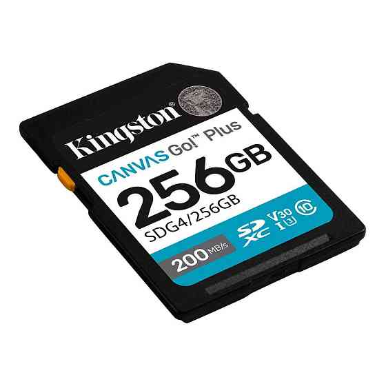 Карта пам'яті SDXC (UHS-1 U3) Kingston Canvas Go! Plus 256Gb class 10 A2 V30 (R200MB/s, W160MB/s) Київ