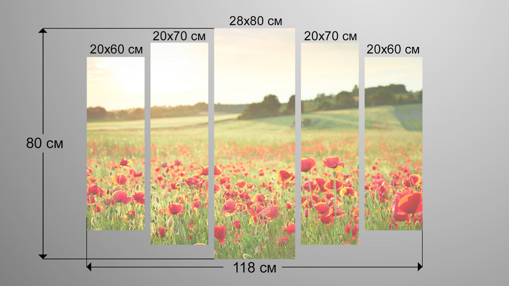 Модульная картина Природа Маки Art-176_5 Киев - изображение 3