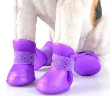 Сапожки резиновые для собак мелких пород S Киев - изображение 1