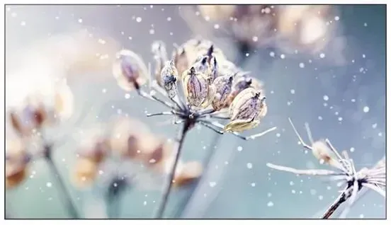 Монитор Samsung VM46R-U (LH46VMRUBGBXEN) Киев - изображение 1