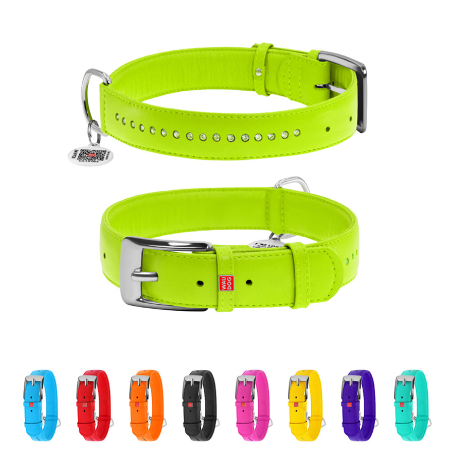 Нашийник для собак шкіряний WAUDOG Glamour з QR паспортом, подвійний зі стразами, S, Ш 15 мм, Д Коломия - фото 1