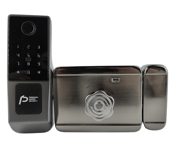 PES Gate електромоторний замок для каліток Київ