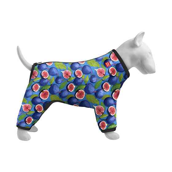 Вітровка для собак WAUDOG Clothes, малюнок "Інжир", S40, В 56-59 см, С 37-40 см Київ