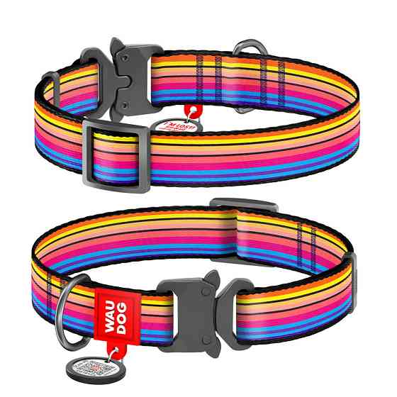 Нашийник для собак нейлоновий WAUDOG Nylon з QR-паспортом, малюнок "Линія 1", металева пряжка-фастекс, Ш Вінниця