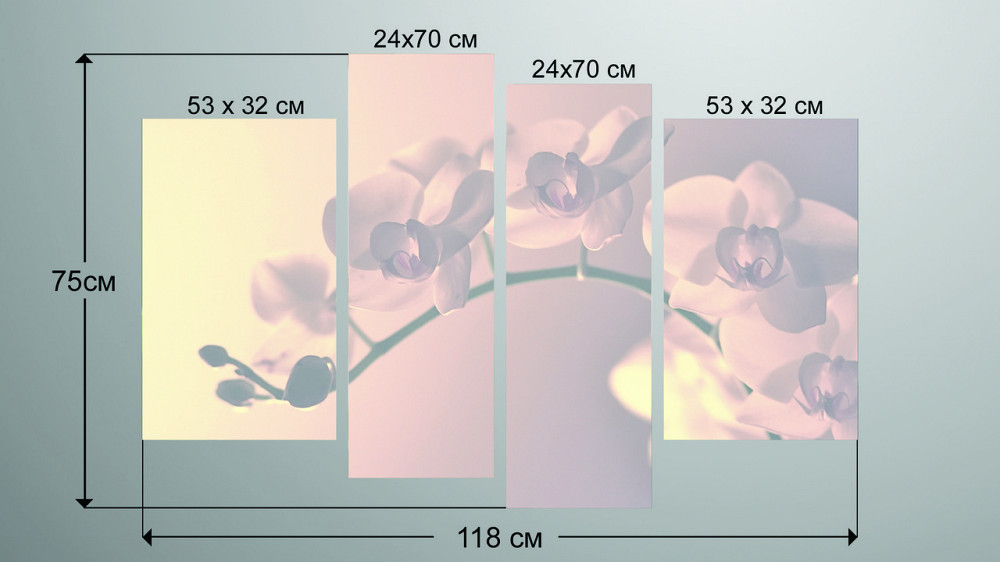 Модульная картина Цветы Орхидея Art-154_4 Киев - изображение 4