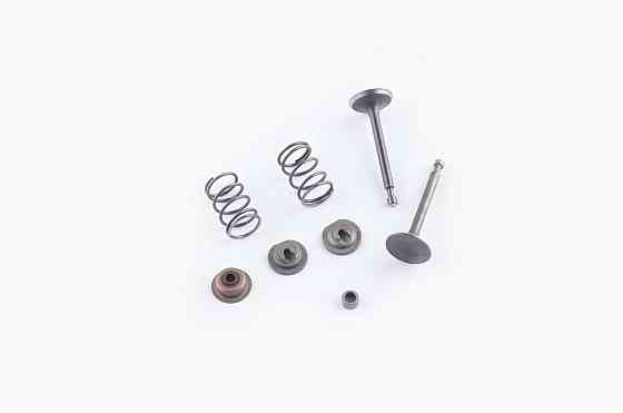 Клапаны (пара, в сборе) мотоблок 168F/170F (6,5/7Hp) (D-25/H-64, D-24/H-62) Мукачево