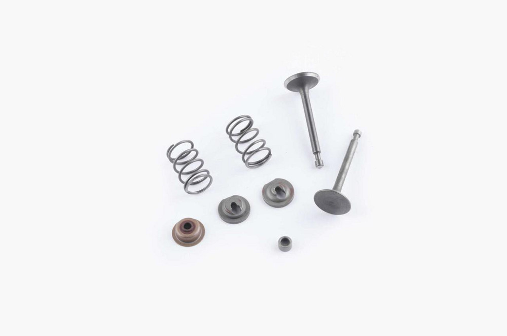 Клапаны (пара, в сборе) мотоблок 168F/170F (6,5/7Hp) (D-25/H-64, D-24/H-62) Мукачево - изображение 1