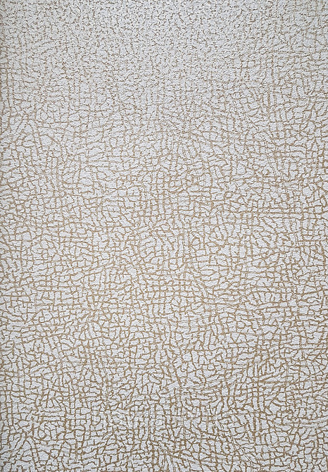 Шпалери вініл на флізеліні гарячого тиснення DU&KA Natura1.06х10 абстракція під шкіру смужки золотисті пісочні Київ - фото 2