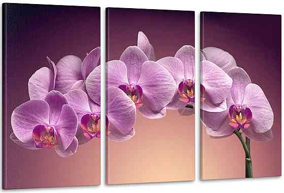 Модульна картина Коліри Орхідея Арт-111_3А 70x130 см Київ
