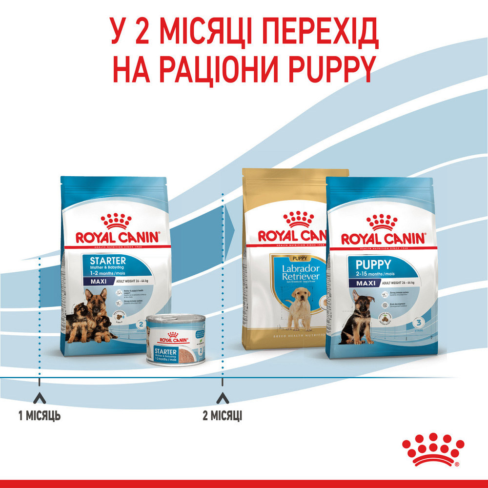 Корм для новорожденных щенков больших пород собак ROYAL CANIN MAXI STARTER 4 кг Киев - изображение 7