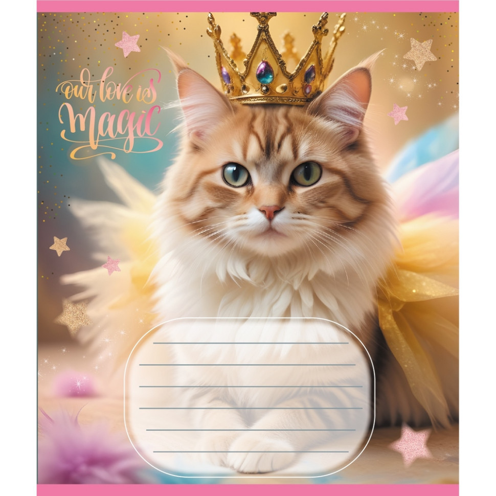 Тетрадь ученическая 