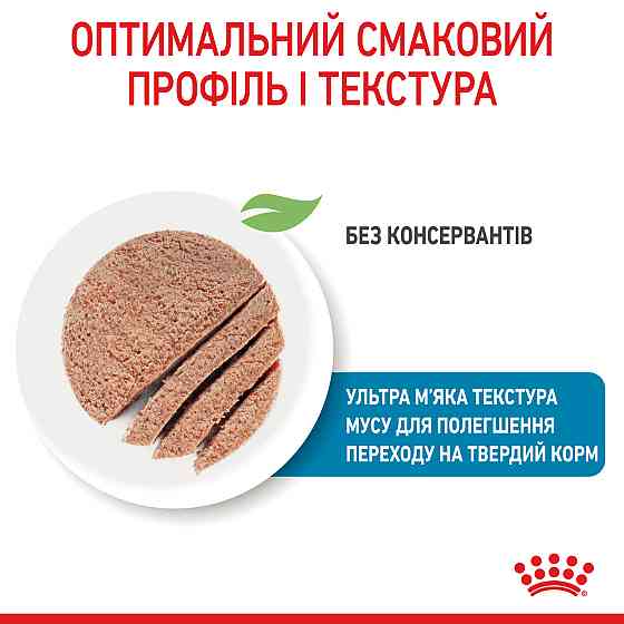 Royal Canin Starter Mousse Mother Babydog (Роял Канін Стартер) вологий корм для вагітних собак 195 г х 12 шт. Запоріжжя