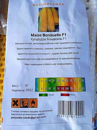 Кукуруза сахарная  