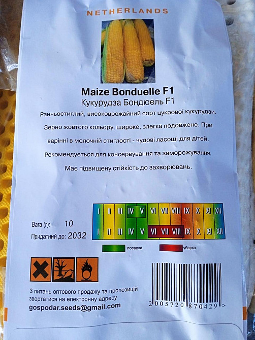 Кукуруза сахарная  