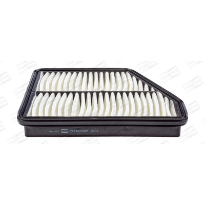 Воздушный фильтр для автомобиля Champion CAF100766P Винница - изображение 1
