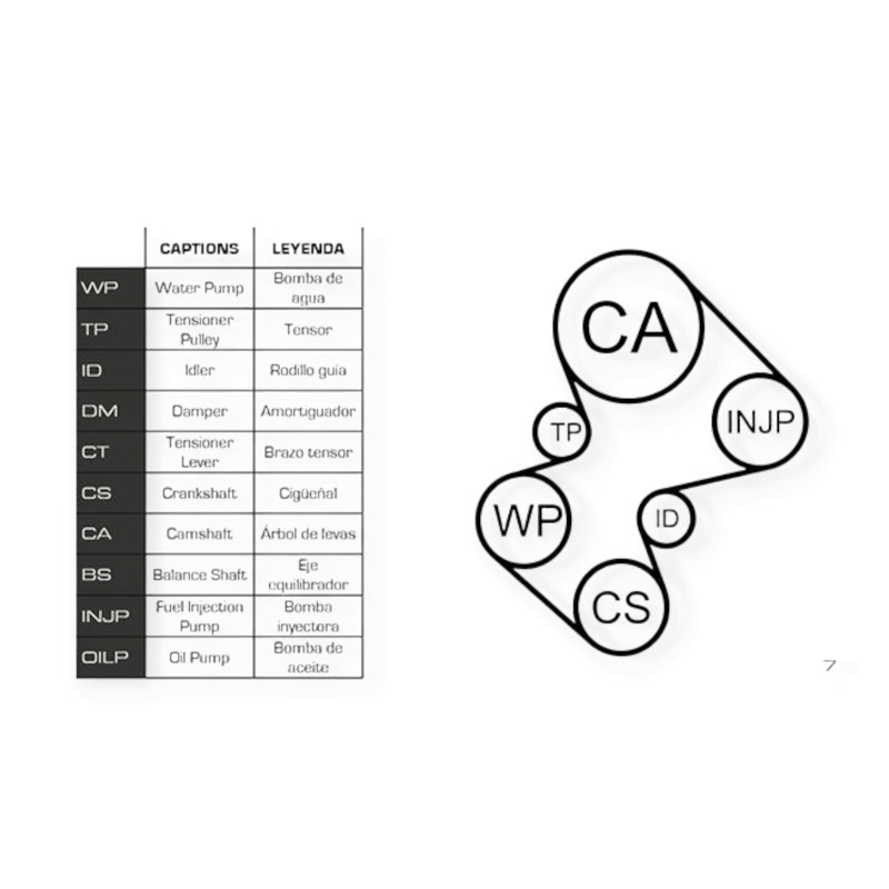 Ремкомплект Citroen C5, Peugeot 406 2.2HDI 00- (ремень, ролики, помпа) - ГРМ Мукачево - изображение 1