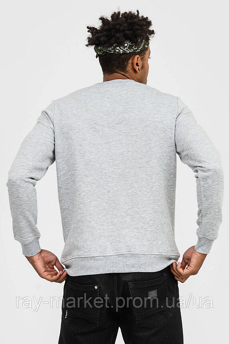 Світшот базовий утеплений Ray Basic чоловічий сірий меланж (U0301M-Grey Heather) M Київ - фото 3