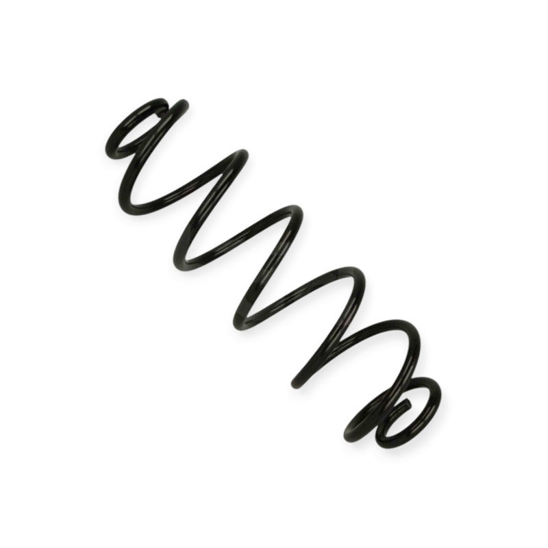 Пружина Ауді A4, A6 1.8-3.2i, D (седан) 07-передня Мукачево - фото 1