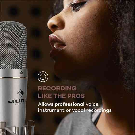 MIC-920 Комплект USB-мікрофонів V1 конденсаторний мікрофон/штатив/захист від попмузики Кардіоїдна Рівне