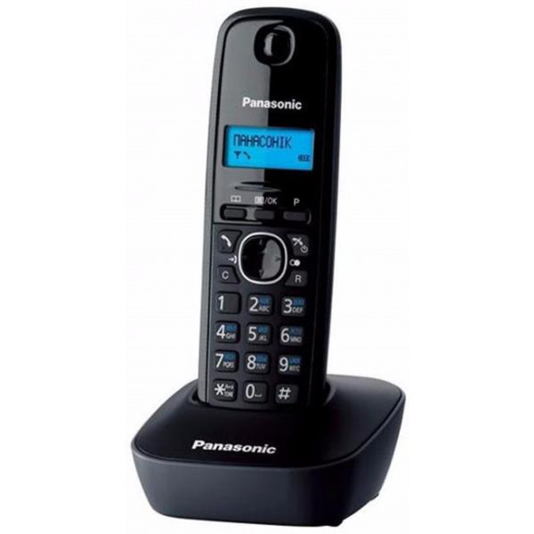 Телефон DECT Panasonic KX-TG1611UAH Grey (KX-TG1611UAH) Киев - изображение 1