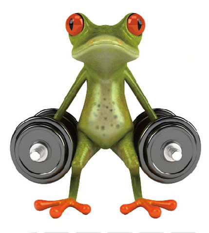 Наклейка декоративная для дома Лягушка Киев - изображение 1