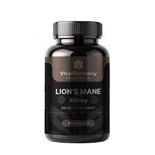 Левова грива Lion’s Mane 500mg VitalHarmony, 90 капсул Дніпро - фото 1
