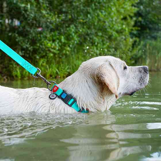 Ошейник для собак водостойкий WAUDOG Waterproof c QR паспортом, світонакоплювальний, пластикова пряжка-фастекс, Ш 25 мм, Дов Київ