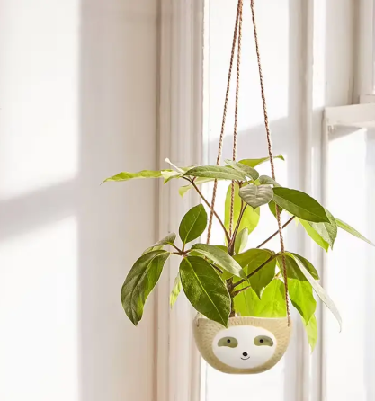 Підвісний квітковий горщик кашпо у вигляді Лінивця (Жовтий) Київ