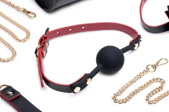 Набір БДСМ з дорожньою сумкою Master Series: Bow — Luxury BDSM Set With Travel Bag, 11 предметів Львів