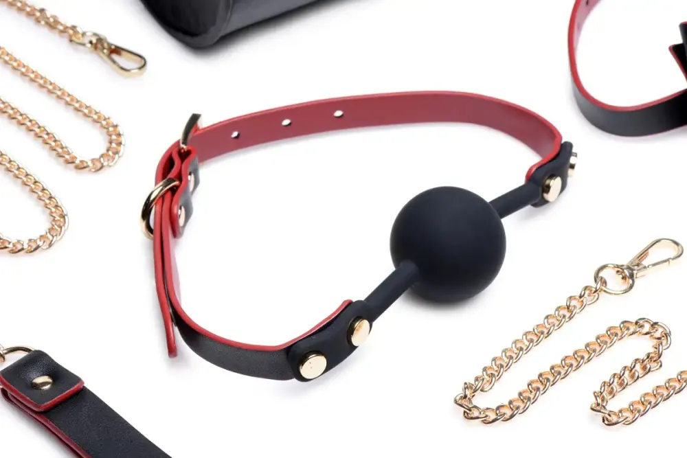 Набір БДСМ з дорожньою сумкою Master Series: Bow — Luxury BDSM Set With Travel Bag, 11 предметів Львів - фото 3