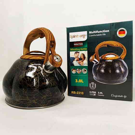 Чайник из нержавеющей стали с пищалкой Rainberg, Чайник для газовых плит для газовой комфорки SX-66 Львов