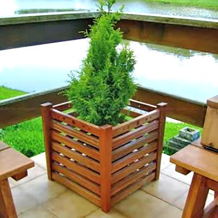 Кашпо "Ехінацея" мускат Миколаїв - фото 1