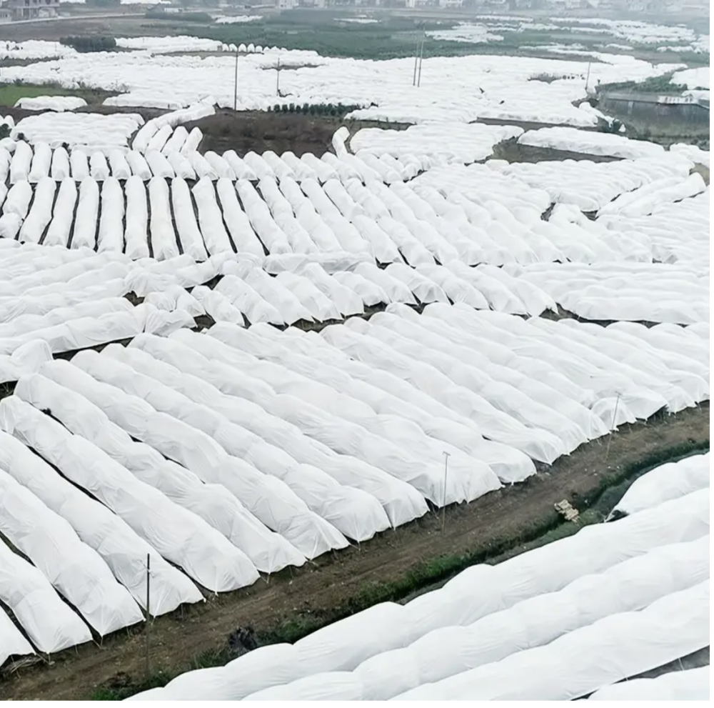 Агроволокно 30 г/м2 3.2х5 метрів біле пакетоване агроволокно для теплиць Дніпро - фото 9