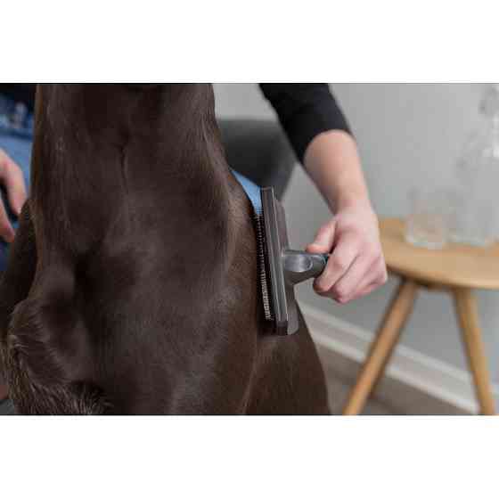 Щітка-пуходерка Trixie для собак м_яка з пластиковою ручкою 10х17 см Київ