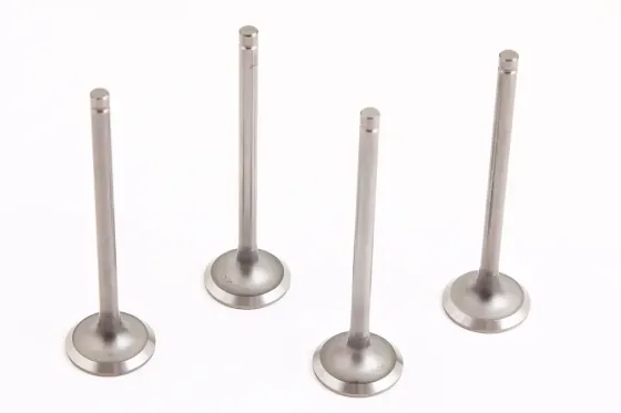 Клапана Aveo 1.6 AMP Ultra азотир. впускные (Lacetti) (4 шт.) Винница