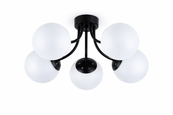 DN19-5 BK Коломыя