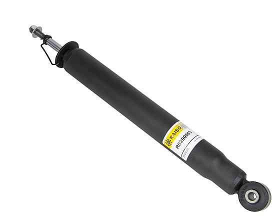 Амортизатор задній Raiso (Швеція) Peugeot 307, Пежо 307 2000-2011 #RS290963 UAOZUXT22 Ковель