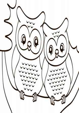 Детская водная раскраска: Дикие животные 734008, 8 страниц Винница