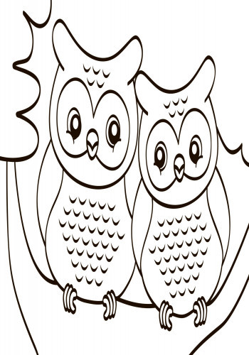 Детская водная раскраска: Дикие животные 734008, 8 страниц Винница - изображение 4